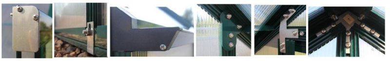 Customized Movable Sunroom with Polycarbonate Sheet Outdoor Furniture Greenhouse Rdga1008 -10mm
