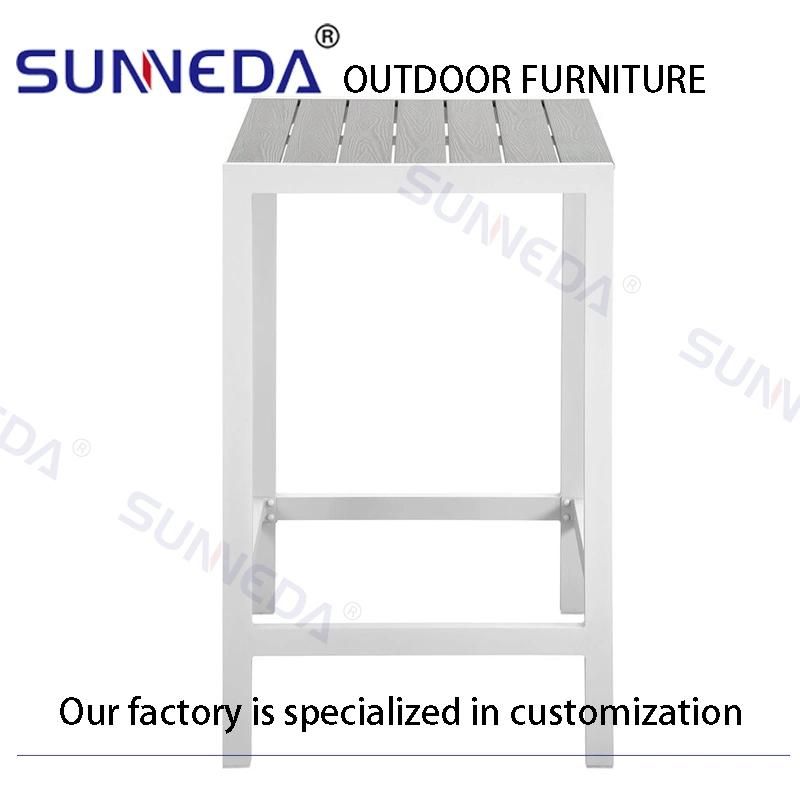 Bistro High End Rain Proof Dry Home Dining Chair