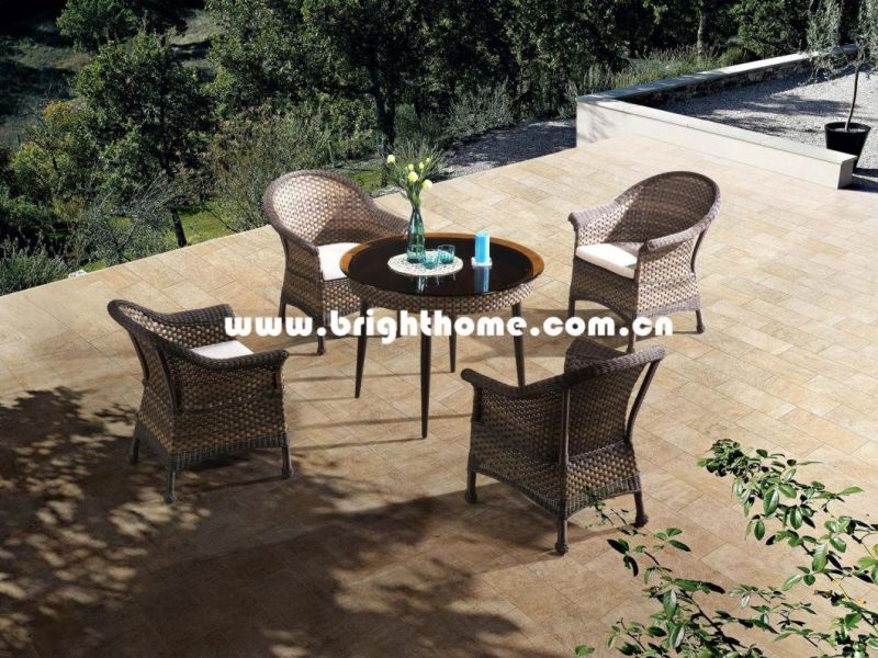 Factory New Design Garden Rattan Furniture/Leisure Wicker Furniture/Weatherproof (BP-3028)