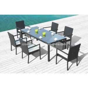 Rattan Furniture Dining Set for Outdoor with Steel Pipe (1048)