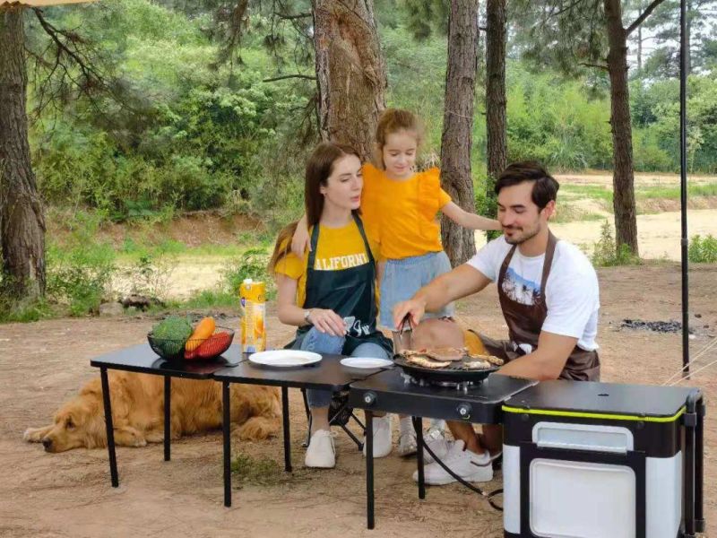 Eatcamp 2.0 Glamping Set Outdoor Camping Mobile Kitchen BBQ Grill with Foldable Table