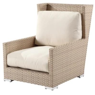 Garden Rattan/Wicker Furniture Sofa Set (LN-2142)