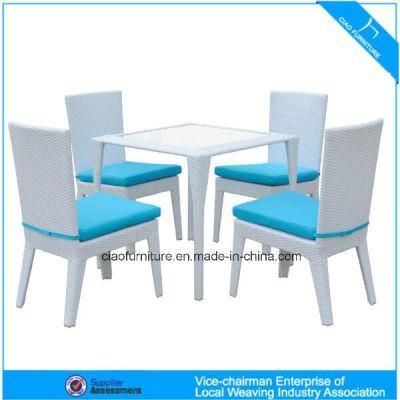 Elegant Rattan Furniture Outdoor Wicker Dining Table and Chair