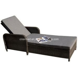 Indoor &amp; Outdoor Rattan Furniture for Lounge with Armrest (5001)