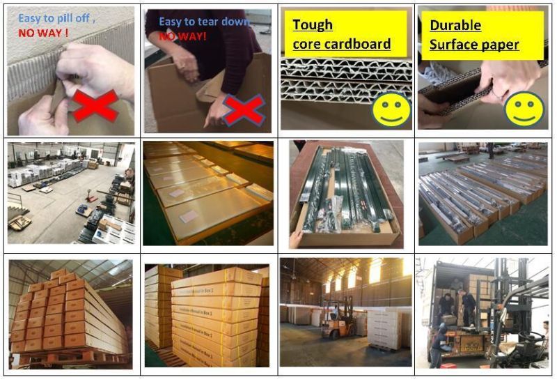 Smart Design Farming Use Polycarbonate Sheet Walk in Hobby Greenhouses Gazebo (RDGS0819-6mm)