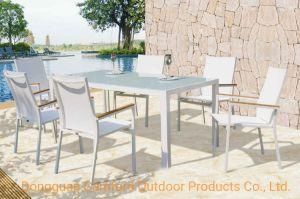 Contemporary Dining Table / Lacquered Aluminum / Rectangular / Garden