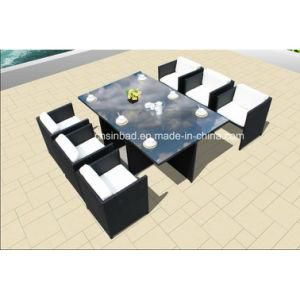Wicker Furniture Dining Set for Outdoor with Steel Frame / SGS (8219-3)