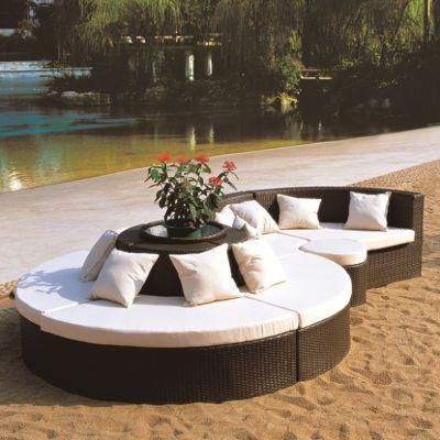 Garden Hotel Furniture Combination Sofa Rattan Sofa (TG-JW05)