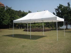 Foldable Pop up Tent (FTHS36)