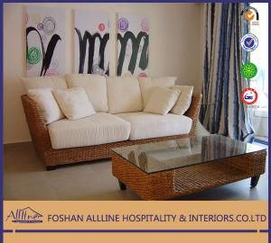 Turkey Palmiye Al-Te0108 Leisure Modern Rattan/Wicker Outdoor Sofa Furniture Set/Living Room Sofa Set