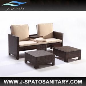 Newest Design Rattan Sofa Furniture for Poland Market (JS-811)