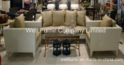 4PC Rattan/Wicker Furniture Living Room Sofa Set/White Sofa (WF-0778)