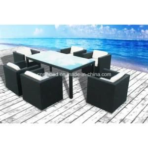 Outdoor Wicker Furniture for Dining Room with Chairs / SGS (6310-1)