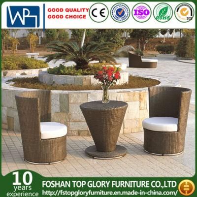 Modern Wicker/Rattan Sofa for Outdoor Furniture (TG-JW53)