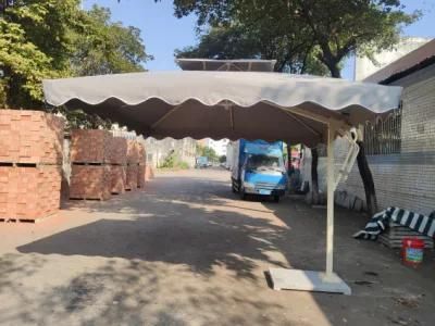 New Colorful Darwin Black Umbrella Outdoor Umbrellas and Sun Shades