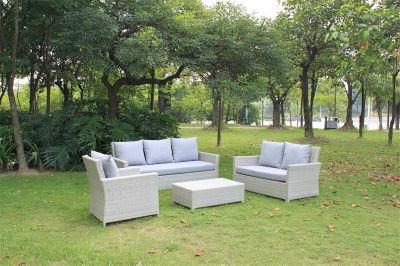 Metal Darwin or OEM Garden Sofa Sale Wicker Couch Patio Outdoor Furinture