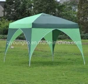 3.0mx3.0m New Style Folding Outdoor Tent with Two Close Colors