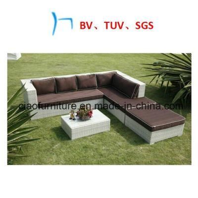 Outdoor Furniture Wicker Fashion Outdoor Leisure Sofas (2908)
