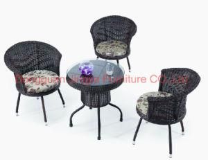 Iron Frame Rattan Garden Dining Leisure Table (JJ-S448)