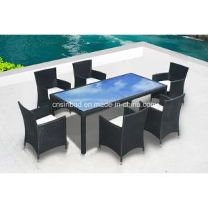 Outdoor PE Rattan Dining Set for Outdoor with 6 Chairs SGS