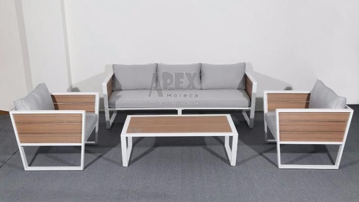 Promotional Restaurant Cafe Resort Beach Leisure Morden Metal Sofa Set