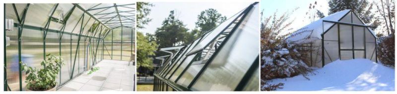 Customized Movable Sunroom with Polycarbonate Sheet Outdoor Furniture Greenhouse Rdga1008 -10mm
