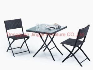 Folding Iron Frame Rattan Garden Dining Leisure Chair (JJ-S494)
