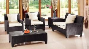 High Quality Rattan Sofa Furniture (9162)