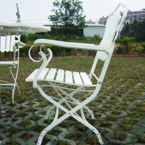 Modern Folding Armchair with Metal Structure Garden