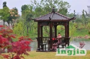 Wood Patio Garden Antiqued Classical Outdoor Gazebo Furniture (SC-D006D)