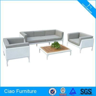 Modern Style Hot Sale Outdoor Furniture Rattan Sofa (CF835)