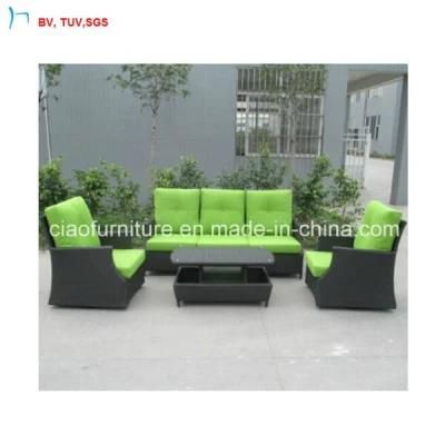 C-SGS Modern Style Outdoor Wicker Sofa with Cushion