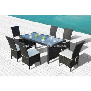 Rattan Furniture for Outdoor / Dining Set with SGS Cetificated (1024)