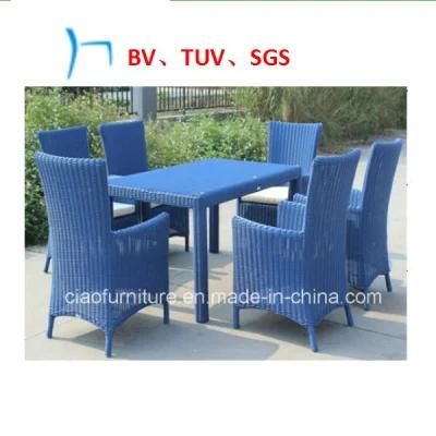 Outdoor Furniture Rattan Furniture Dining Table and Chair (2107T)