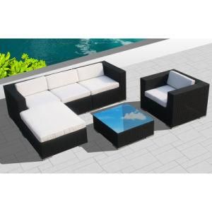 Outdoor Rattan Furniture for Garden with Sofa Set / SGS (8201-1)