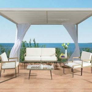 2017new Design Outdoor Furniture Patio &amp; Hotel Using Garden Sofa Set