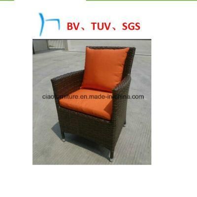 Outdoor Furniture Rattan Furniture Leisure Luxury Chairs (2039)