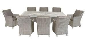 Garden Outdoor Rattan Wicker Furniture Dining Set Polywood Table