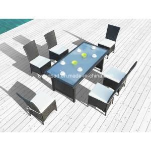 Outdoor Dining Sets for Bar with Chairs / SGS (1024-1)