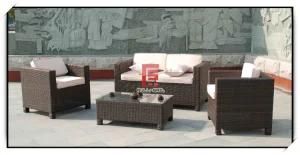 Rattan Leisure Sofa Set (FS-9050)