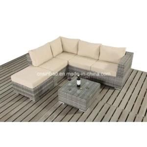 New! Rattan Sofa Set for Outdoor / Living Room with Aluminum Frame / SGS (401)