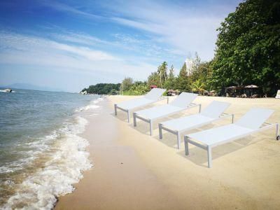 Modern Single Darwin Wrapped Paper/ Carton Box Pool Lounges Beach Lounge Chair