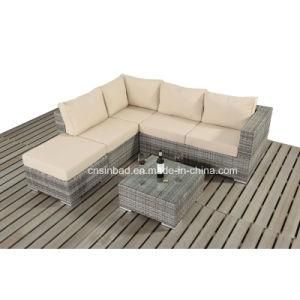 New Style Sofa Set for Living Room / Outdoor with PE Rattan / SGS (401-3)