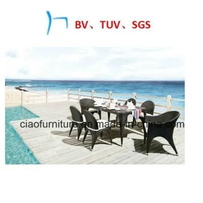 Patio Furniture Wicker Furniture Dining Table and Chair (2063)