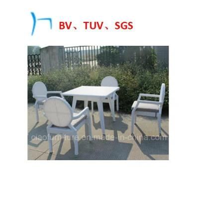 Garden Furniture Wicker Furniture Hotel Furniture (CF1005)