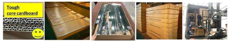 Customized Movable Sunroom with Polycarbonate Sheet Outdoor Furniture Greenhouse Rdga1008 -10mm