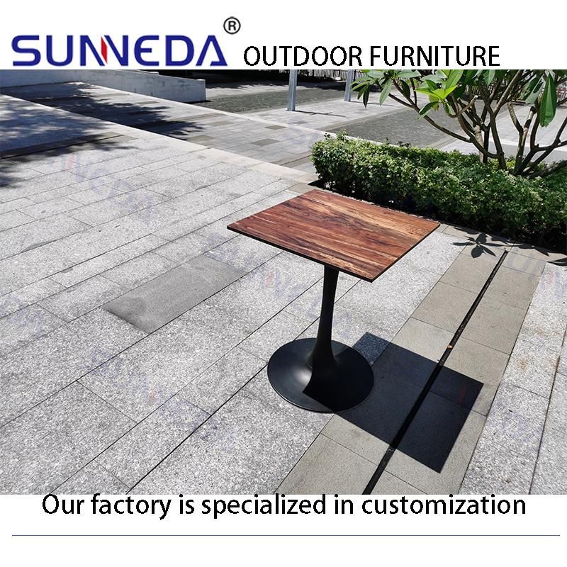 Outdoor Garden Furniture Sets Leisure Patio Sun Aluminum Chair with Table