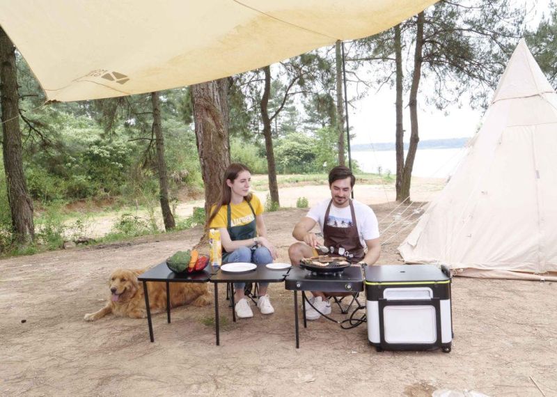 New Design Portable Camping Table with Gas Stoven