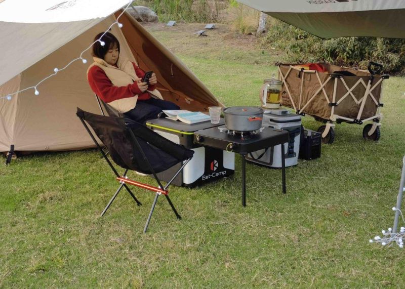 Ultra-Portable Picnic Table with Gas Stoves