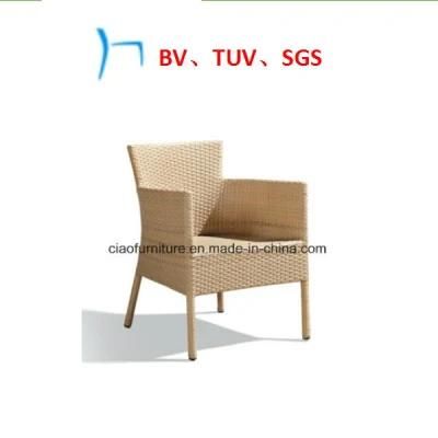 Outdoor Furniture Garden Furniture Rattan Leisure Chairs (2009)
